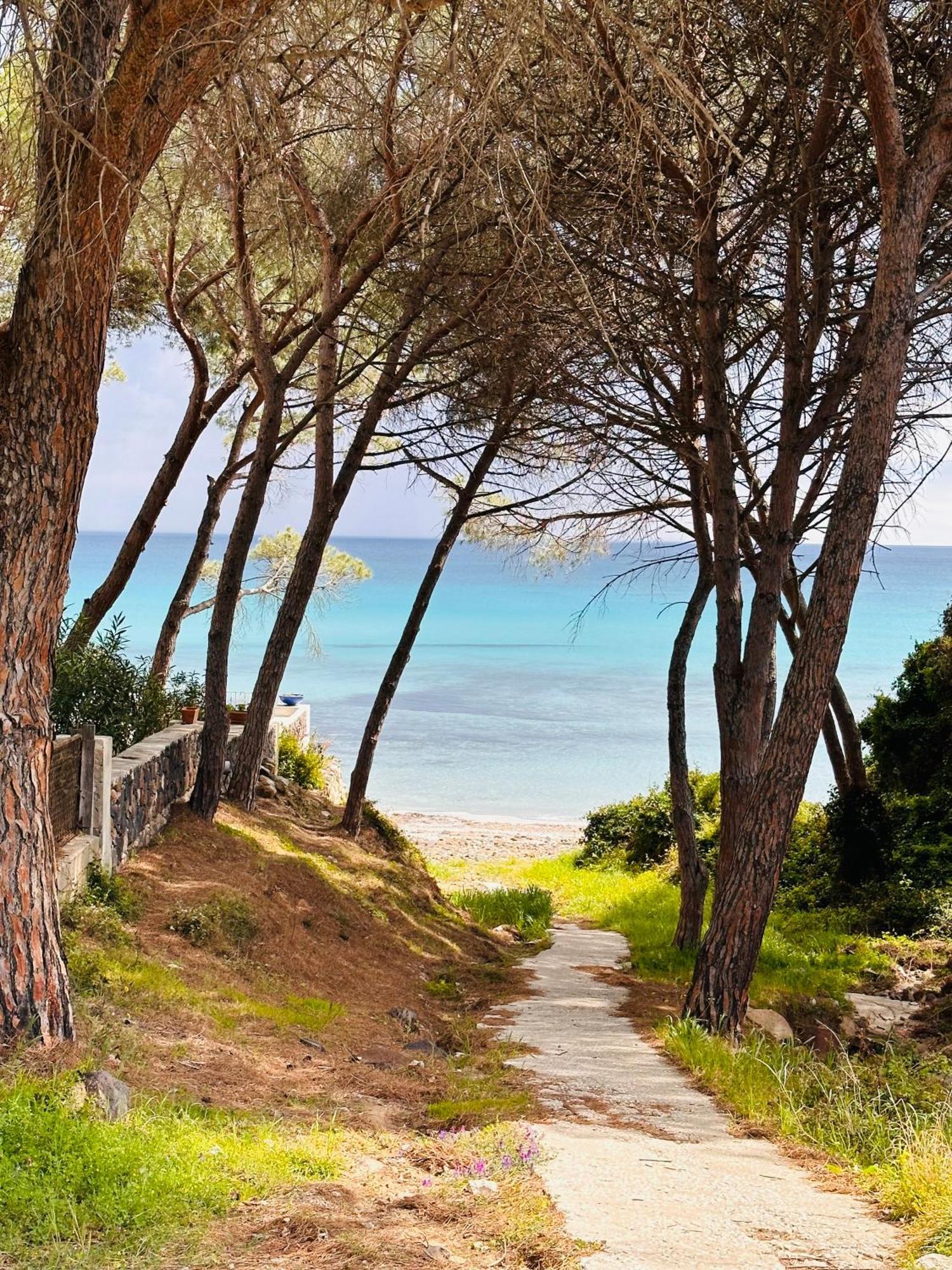 Il Giardino Davanti Al Mare Orosei Esterno foto