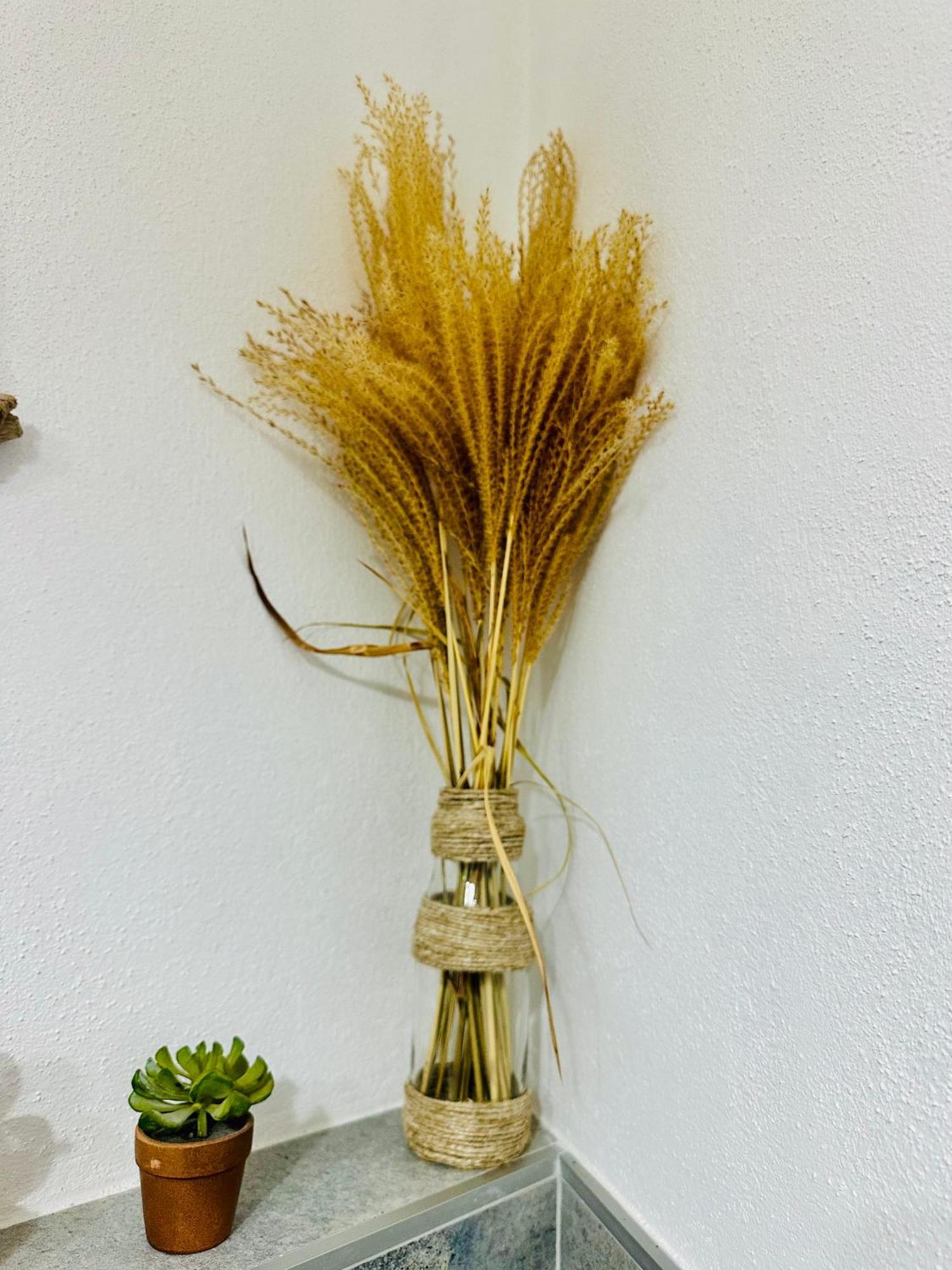Il Giardino Davanti Al Mare Orosei Esterno foto