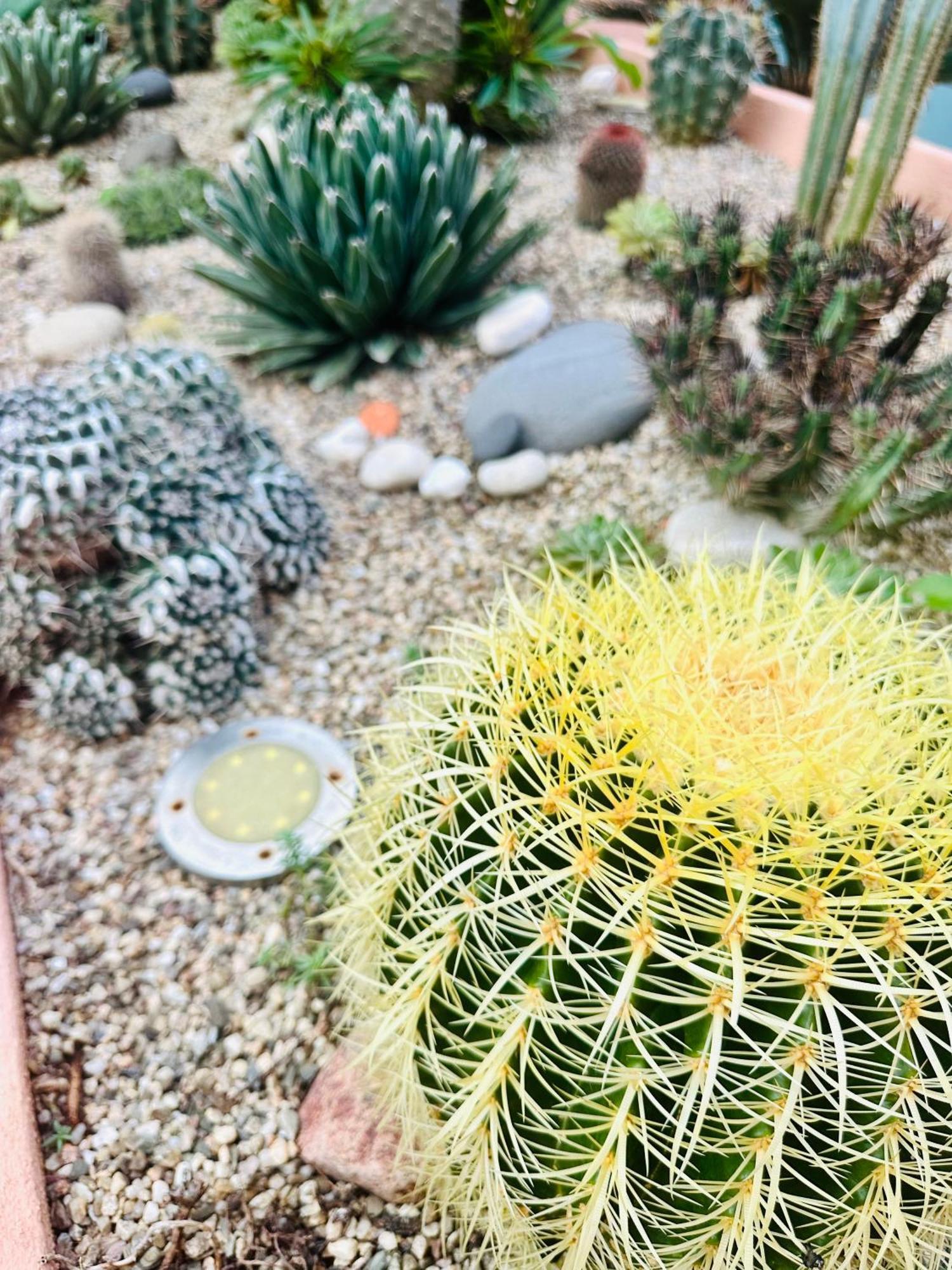 Il Giardino Davanti Al Mare Orosei Esterno foto